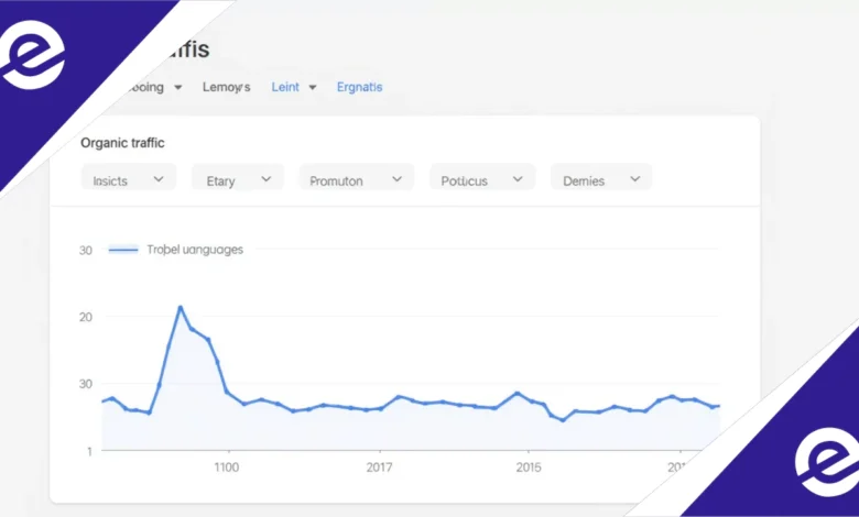 Organic Traffic Google 2025